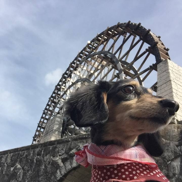 869ebb0e 0c69 4d49 aaca e329ca4a73bd 1523866542626