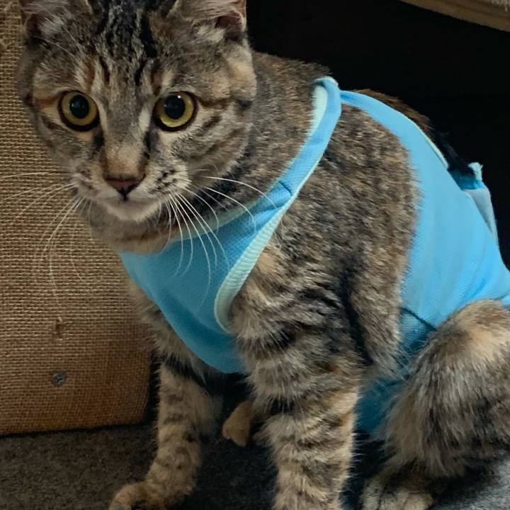 869ed7b3 2983 45dd 9823 b7b37370f83f 1608434189220