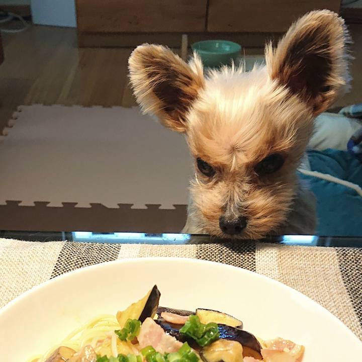 869f0f87 5b25 4176 bb0d e89ba883ba51 1587868690539