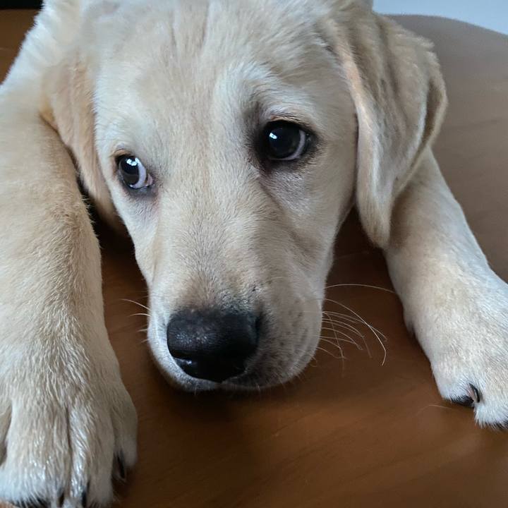 869f4590 c535 4dd3 9ea3 034c78121323 1613342959887