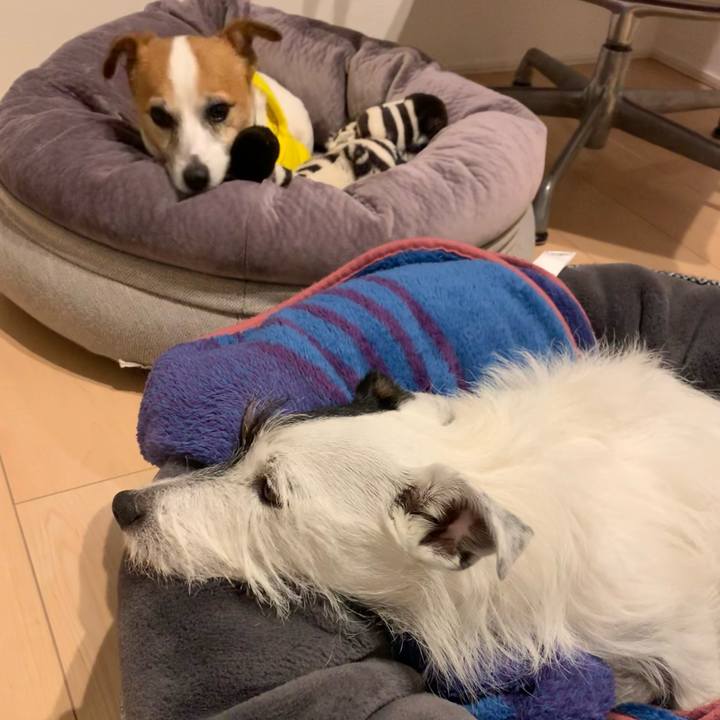 869f5251 0efb 4edf b2b6 6b30ee4adc9d 1637929937776