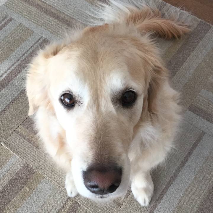 869f6175 1186 4c4b 904b 379507b5cd72 1520032431222