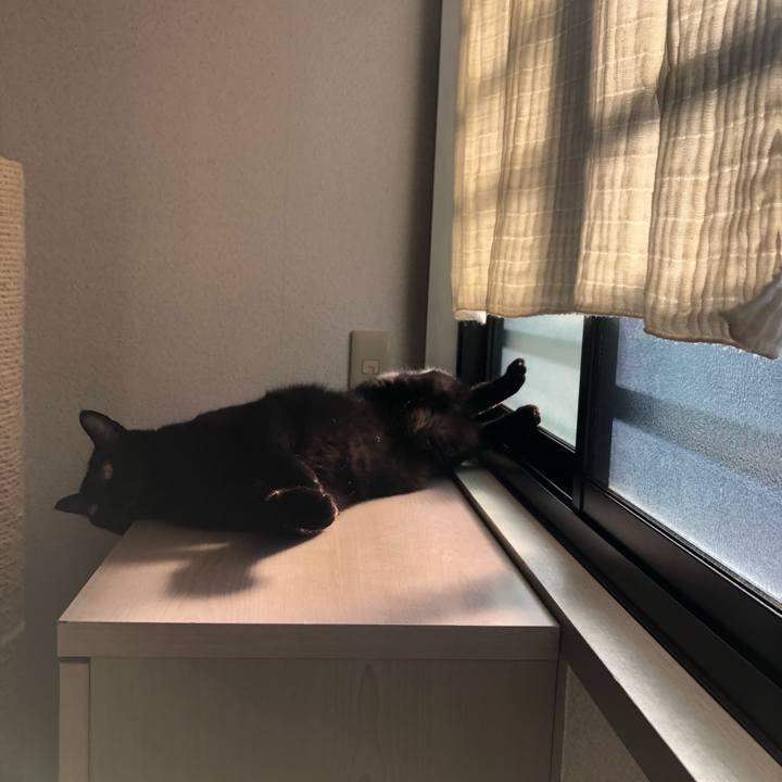 869fb488 9bd3 4dd4 a64f fe98d331950c 1639898312093