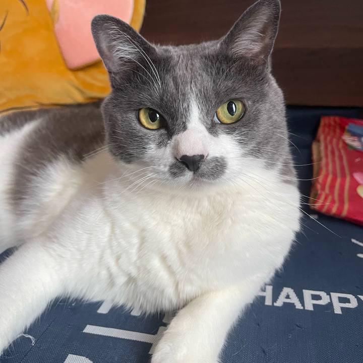 869fbe5e 096b 4333 90af b62c9afc37cb 1750550350502