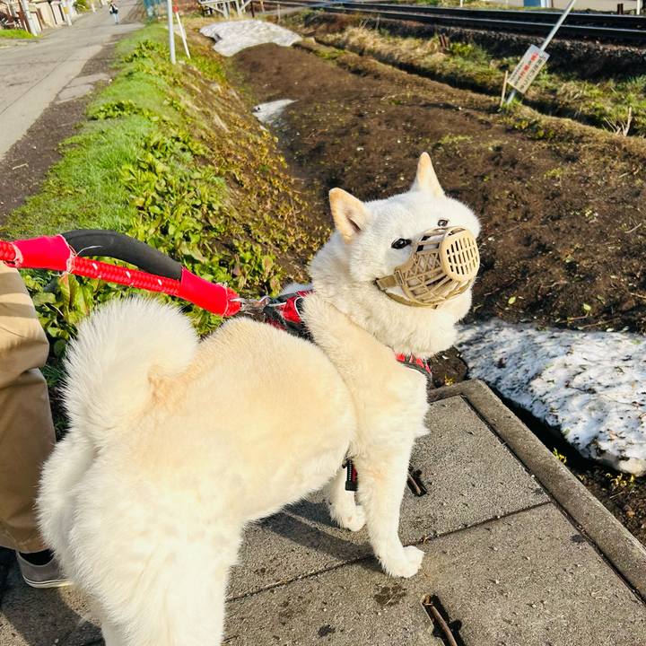 869fc427 d45b 4856 ac18 f9cc52f34d14 1713822580923