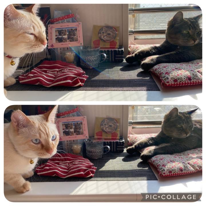 86a013a3 13b5 451f a922 7bb7f66cc47d 1612592826357