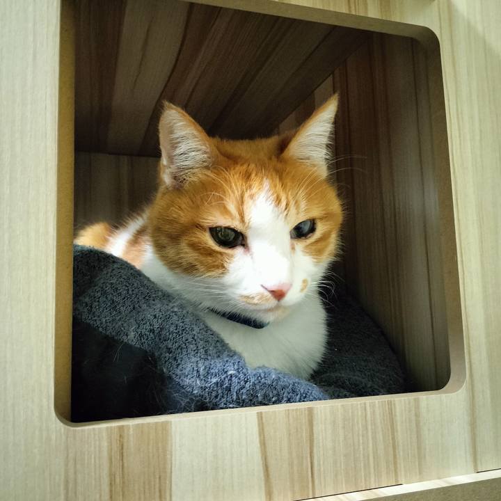 86a02cf1 7e17 4683 bd29 5d587bd4c67b 1698010874053