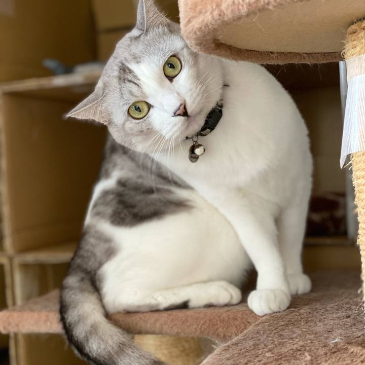 86a04894 bbb3 4e32 8242 088edc7b2ee4 1644920418601