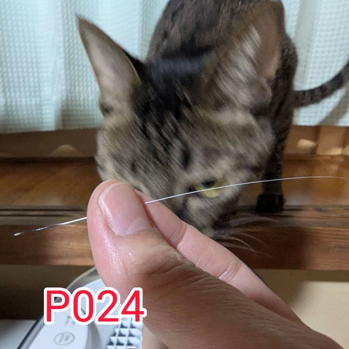 86a052c4 df32 4fa1 b94a ce137a4de884 1743652573646