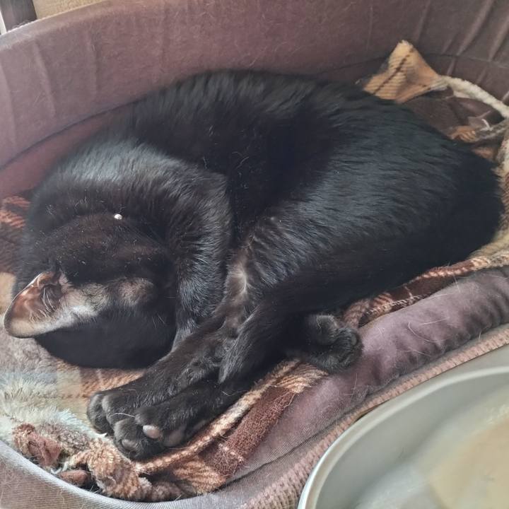 86a063bb 587c 402c 860e d3e72ab5154c 1653700578104