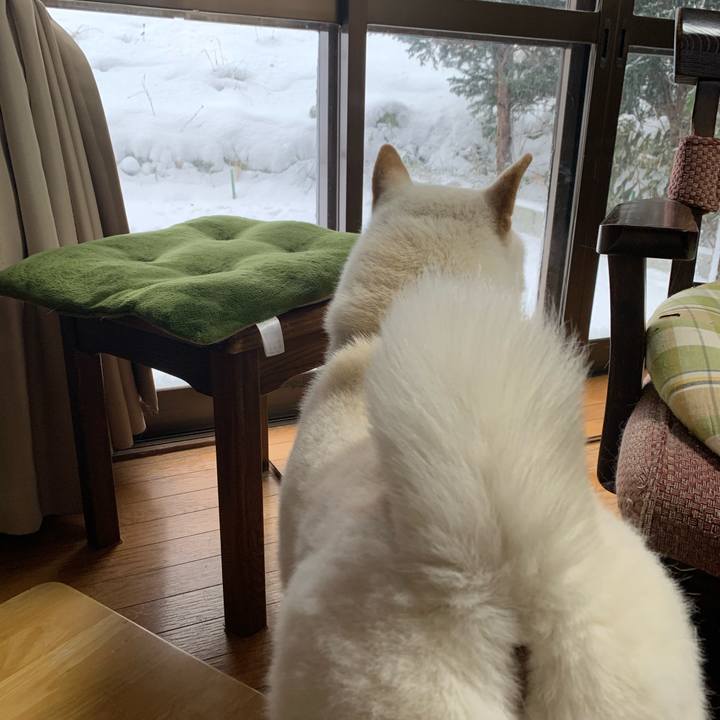 86a0786e ff35 4722 8b78 84b1b5cf4b5b 1573946926115