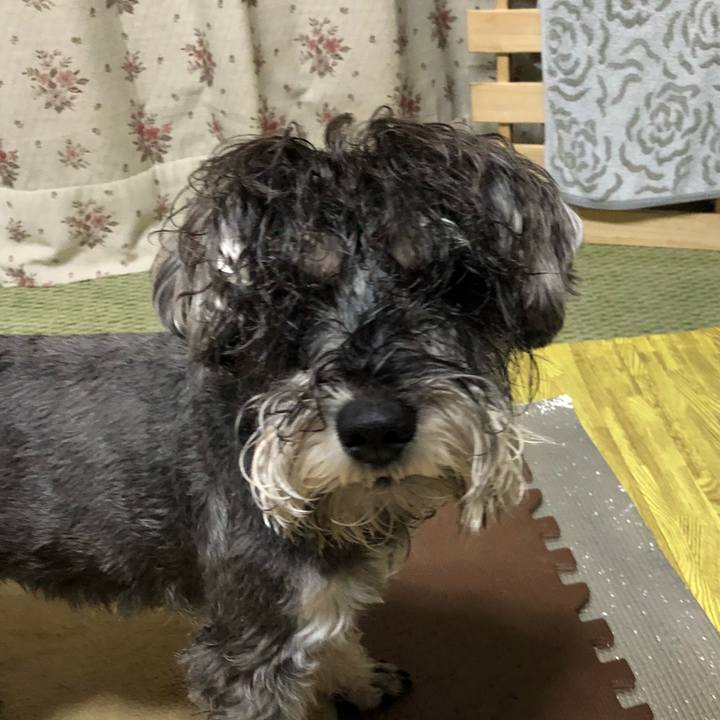 86a0995b 117d 4f55 b118 ffa6479fa85f 1518259769895