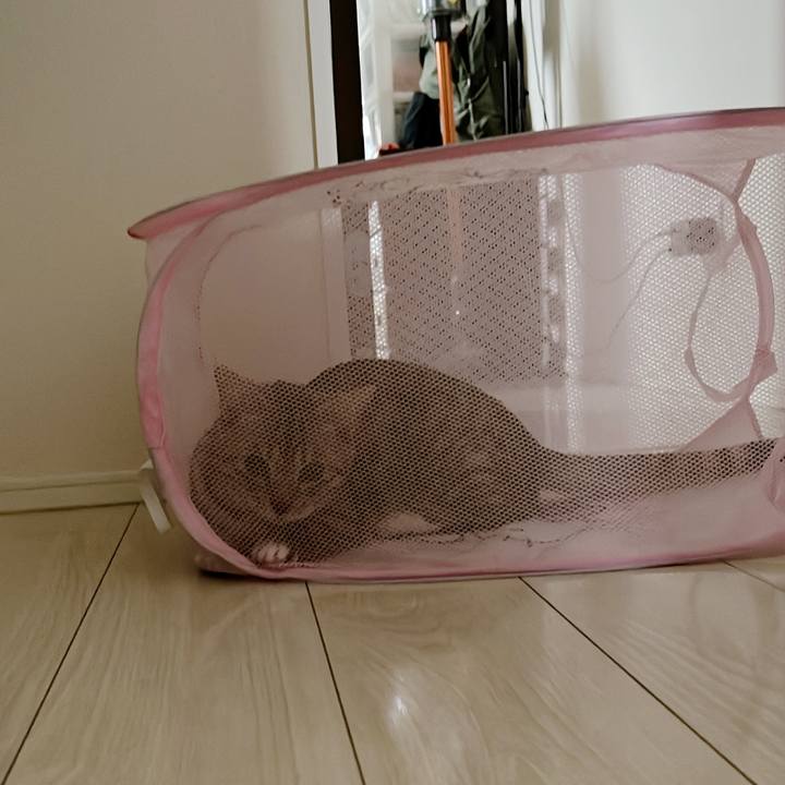 86a0e107 63f7 4b4d b27b 11a566c0147c 1650407803398