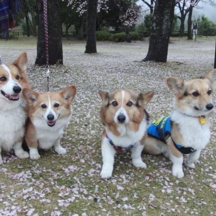 86a11466 7512 449d b947 9754da4a19ce 1775798901780