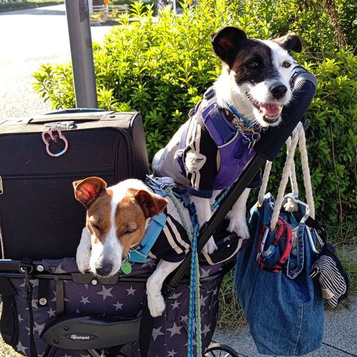 86a12b2c 1644 40e1 b976 ccafd5555237 1664092552065