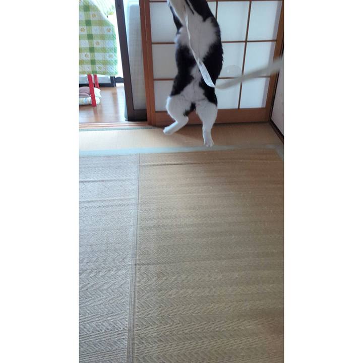 86a12c03 52ba 4faf 80b2 a4ea3bf63e49 1698552565861