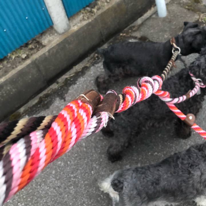 86a19262 9672 4730 845c 665d7cceffd0 1521645063663