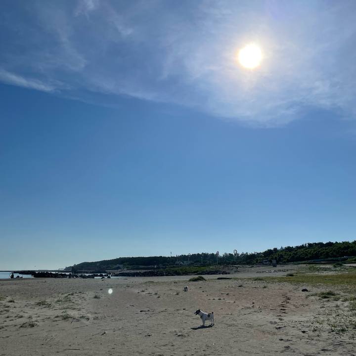 86a1a9ce 360c 4d84 819a 22fee97f6215 1687739237818