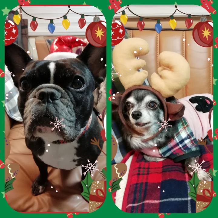 86a1c4c6 9f62 4f89 88ac 544577111ea0 1545654096220