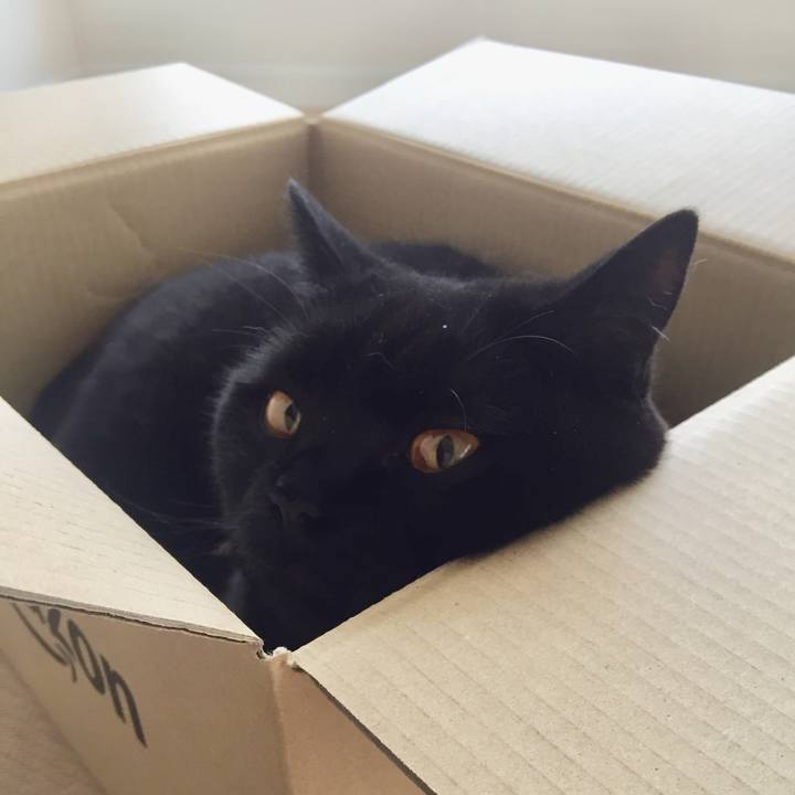 86a1c9f4 9c24 4138 92b9 807b4e1fbda7 1563574376667