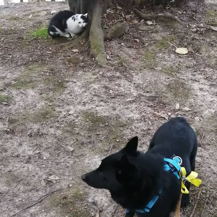 86a21191 4462 4420 82c3 0bdfbe44c926 1646085891985