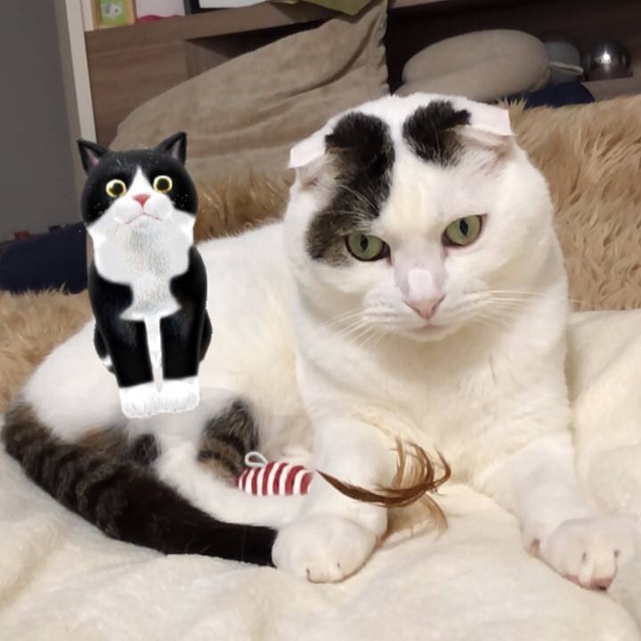 86a2121d 2549 4ebe b100 6f35b8b1bfa7 1578922395867