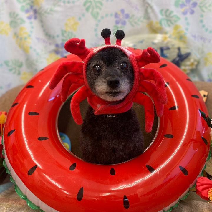 86a21441 b16f 493a 91b0 ca42567e7581 1690702529735