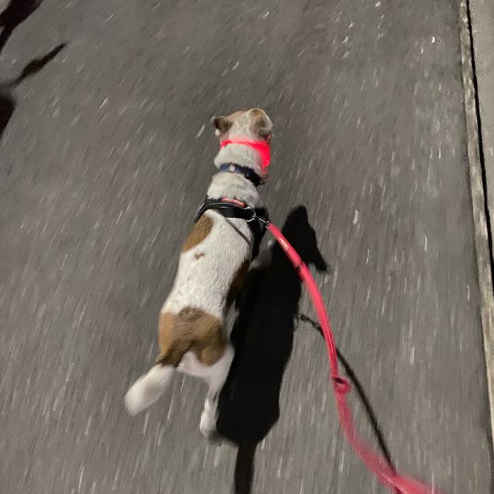 86a21908 80d6 49e6 9599 ebb91c7d2763 1611177639855