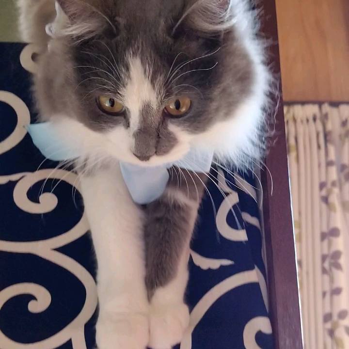 86a220df a8b5 40a6 9213 4e3dc16e47af 1582428868782