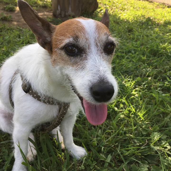 86a22e5f 831a 41b0 8aed b1b063ef725f 1597017474797