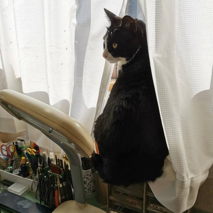 86a243cd 33bc 4ed6 901c 95f26f59b7e2 1712895641764