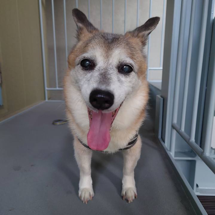 86a24fbc 9b61 4e48 9854 0dc6c24318b7 1732443412365