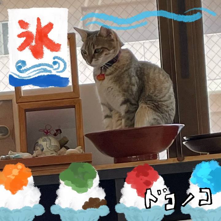 86a25aef 3679 4c63 b349 1408241126bc 1723187571135