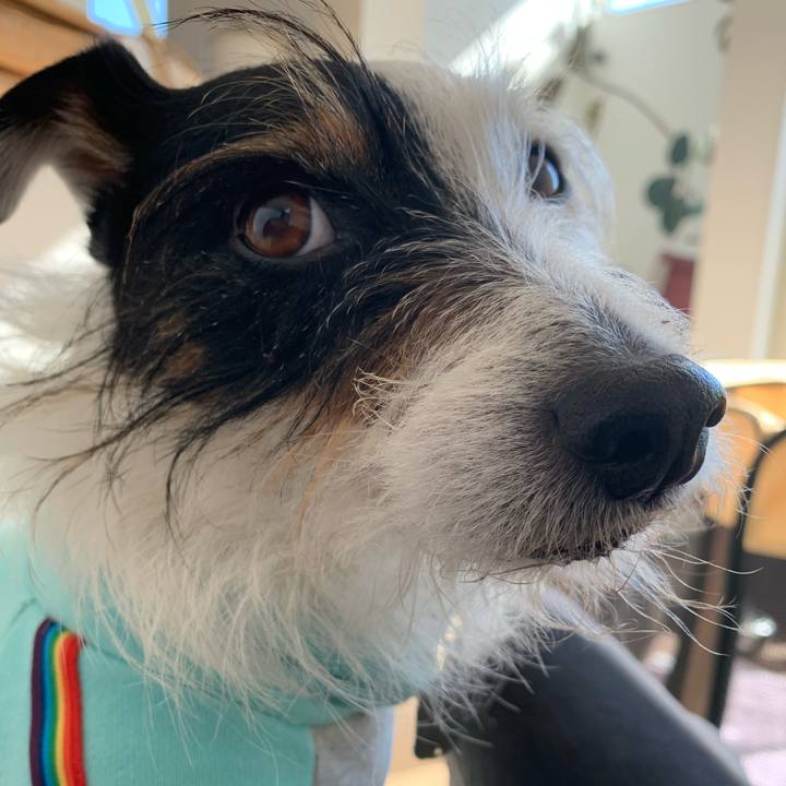 86a2b361 66d9 4e7a b0fe ee359462ec64 1645678107613