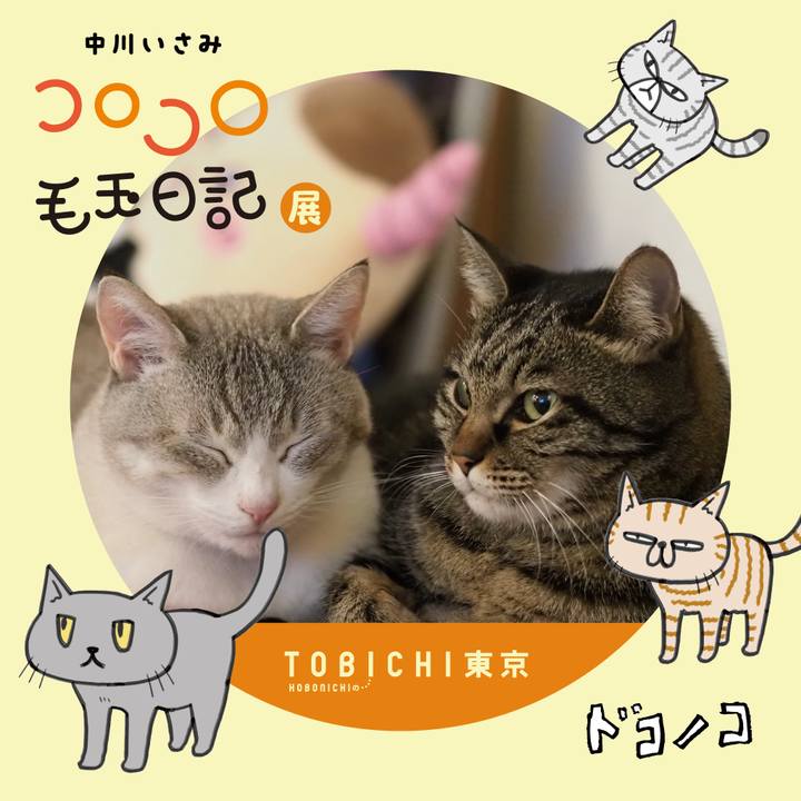 86a2cdc0 c893 4df7 beee e7589766b99c 1740150318538