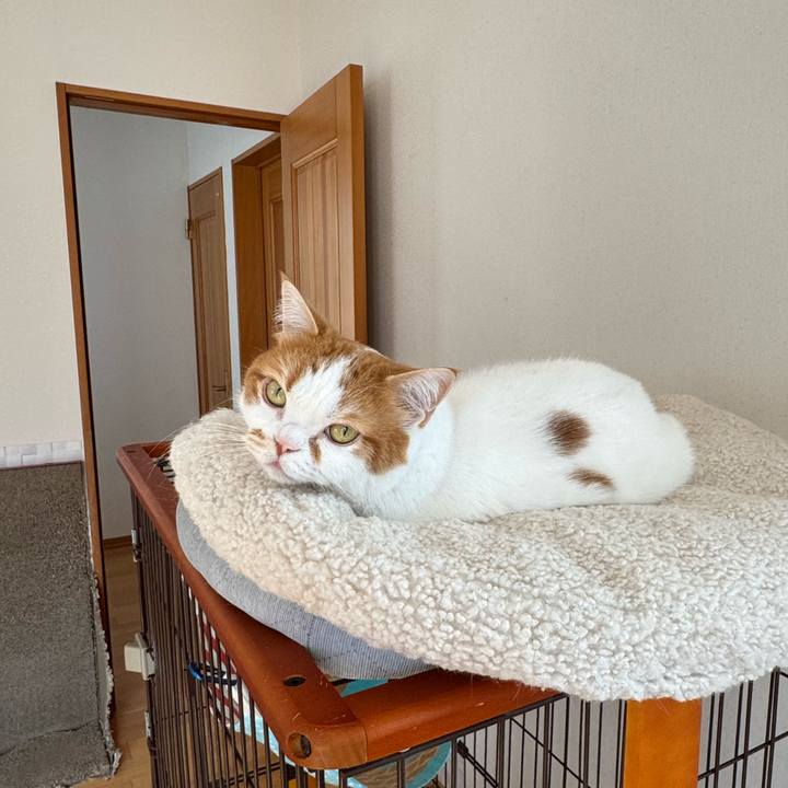 86a2e4cd c862 4fe0 9a56 c9861c1f8a1d 1776394100944