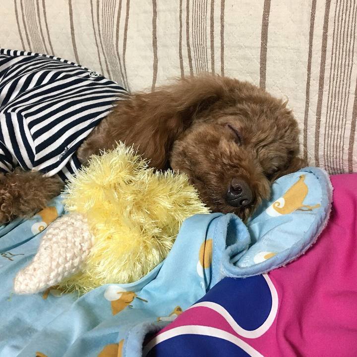 86a2e7e8 61b1 40f6 946f 0428ae46384d 1525517007334