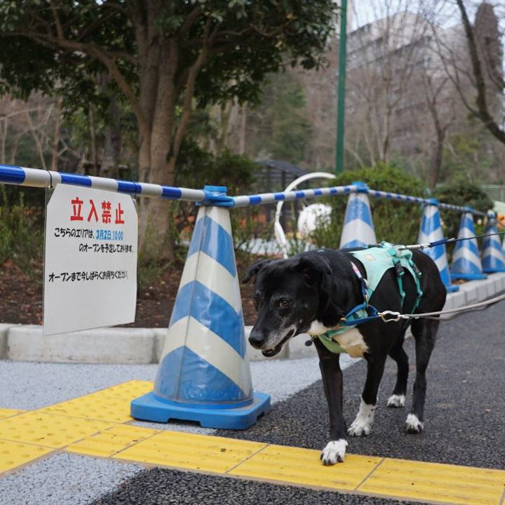 86a2eaae c869 4f08 94c1 74da62d822d6 1772238075544