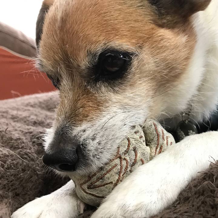 86a30067 6255 4c48 8892 e54b78a0ca09 1587182501010