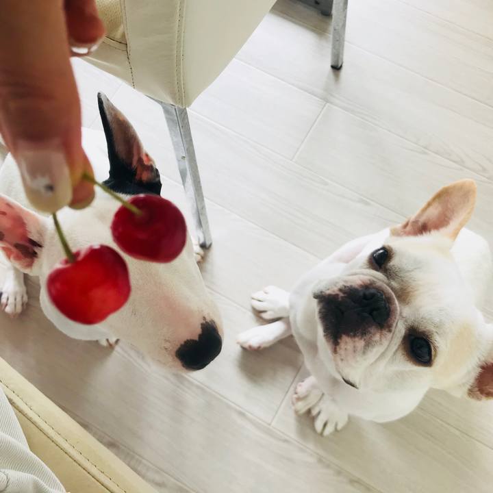 86a300c4 25e8 49cb bf4f d8494fd5a967 1530507583133