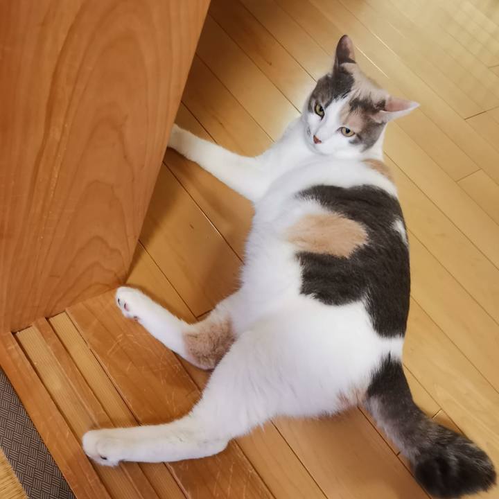 86a3283f 8fdb 47ba 8ea0 450a8073473d 1662436361805