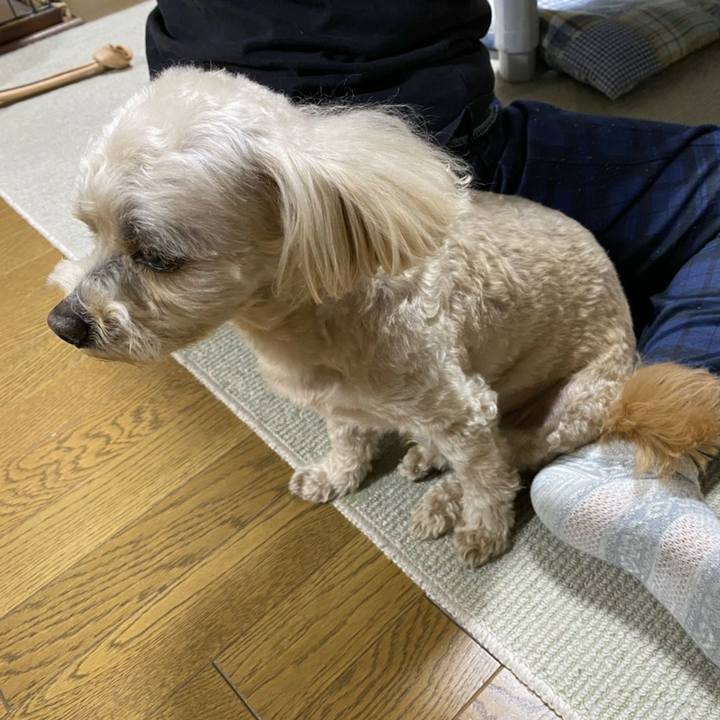 86a38532 32a9 43af 886f 4b6a882c077a 1589368652501