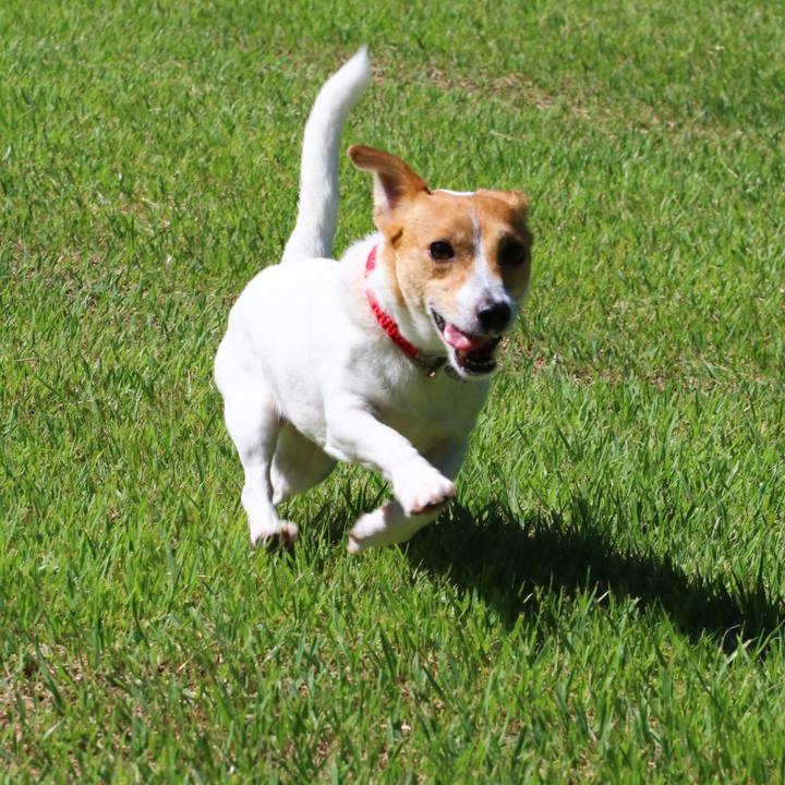 86a3c7a6 8ef2 4bce 9c6f e2622e774d45 1568444286484