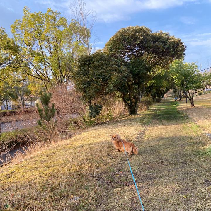 86a3eb61 de9f 4c4b 8b6c b3eb19d8414d 1648420466659