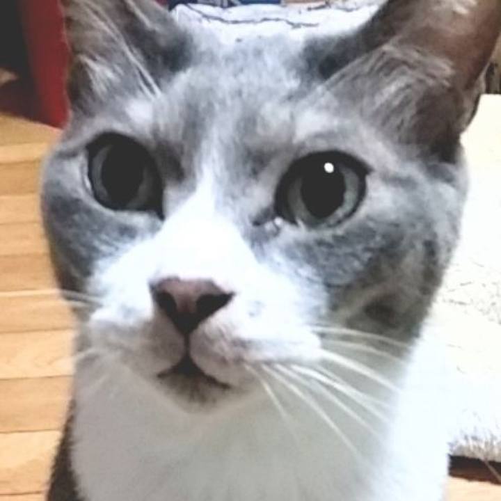 86a42555 838e 46c4 9736 eaca7aa0d06c 1625055880619