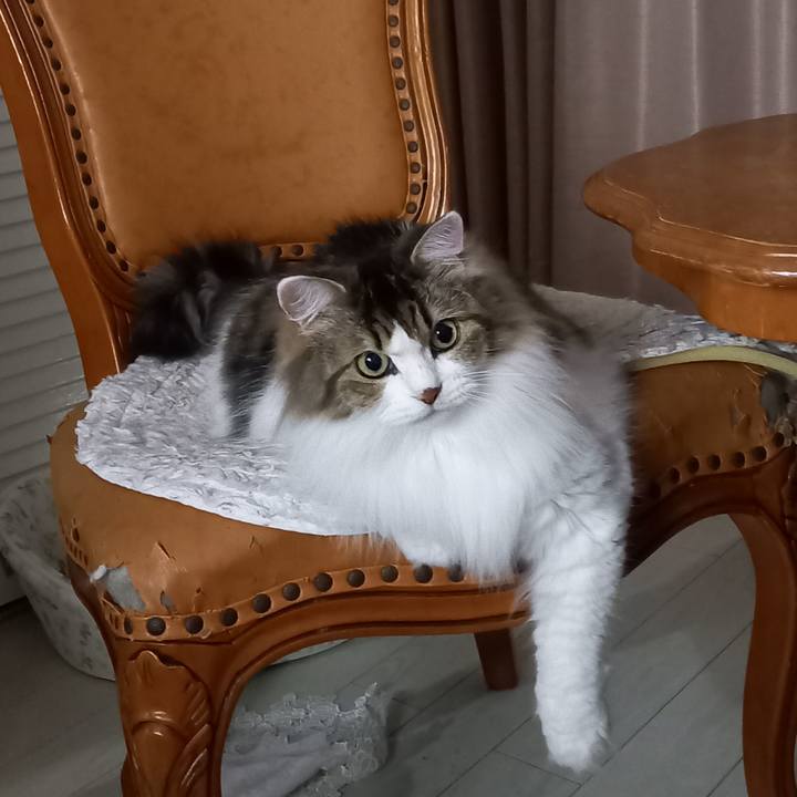 86a42d2c 9721 4beb a7ef b7800a03910e 1664200882490