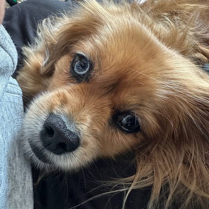 86a42f53 1355 4fdb 8d94 8321460a12ea 1683456961059