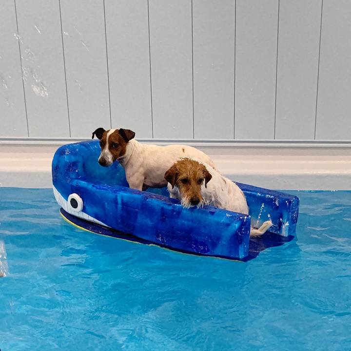 86a43adb cea7 4e99 8518 ee42d8133387 1651226112125