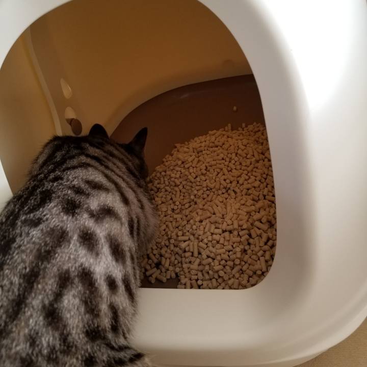 86a447df c78c 4957 a33c 06a8baf248bb 1678322062597