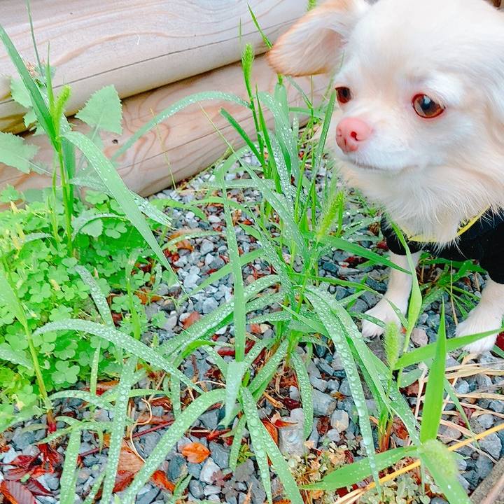 86a44f43 c419 459f a368 a49a6057e3a3 1634037908006